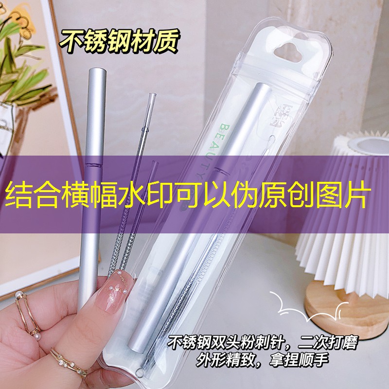 SG胜游：复制程序到游戏目录下是什么意思